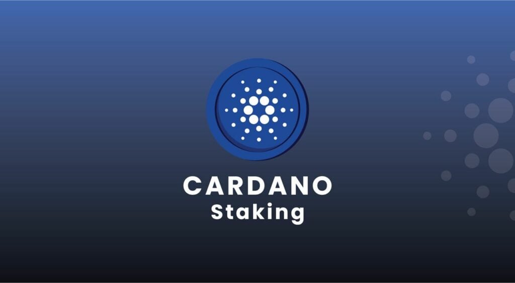 cardano staking