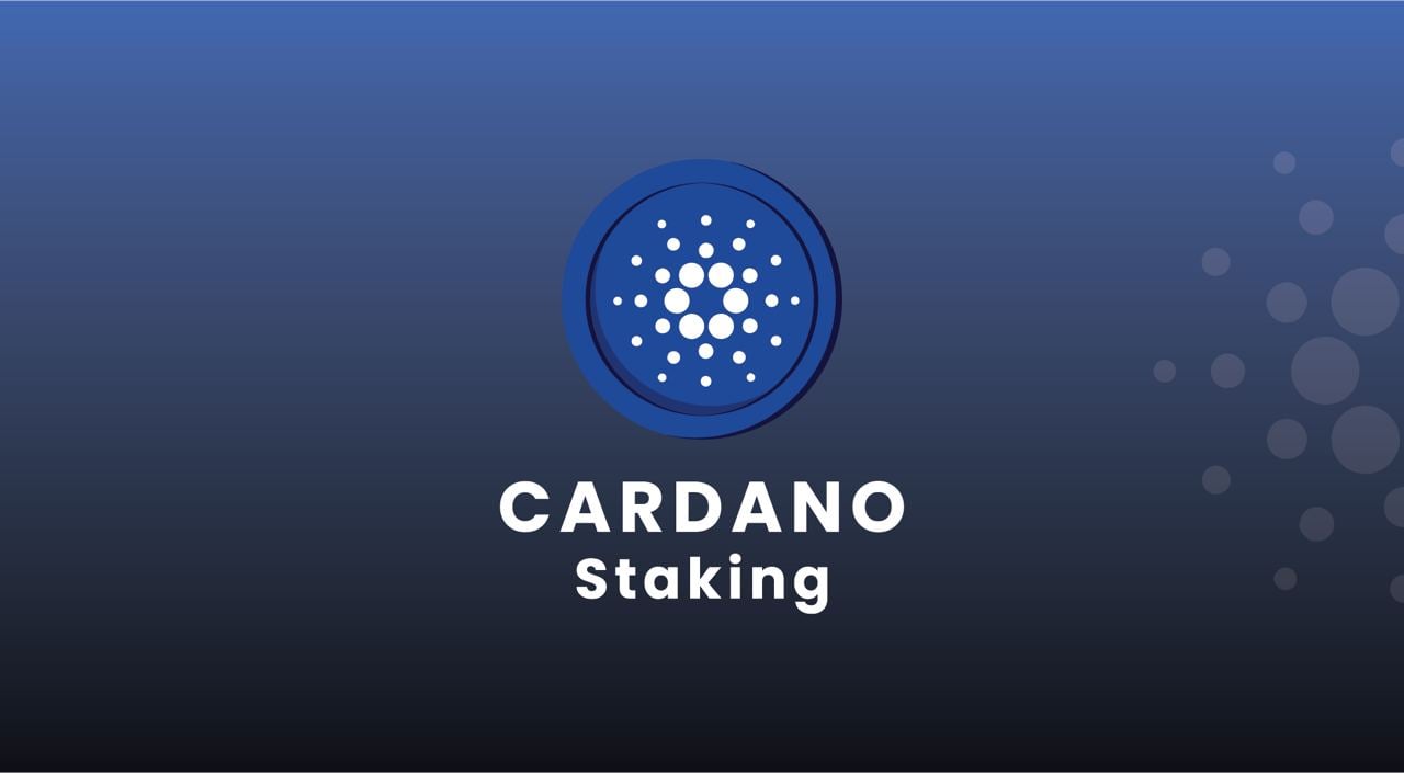 How To Stake Cardano (ADA) | Blocktrade