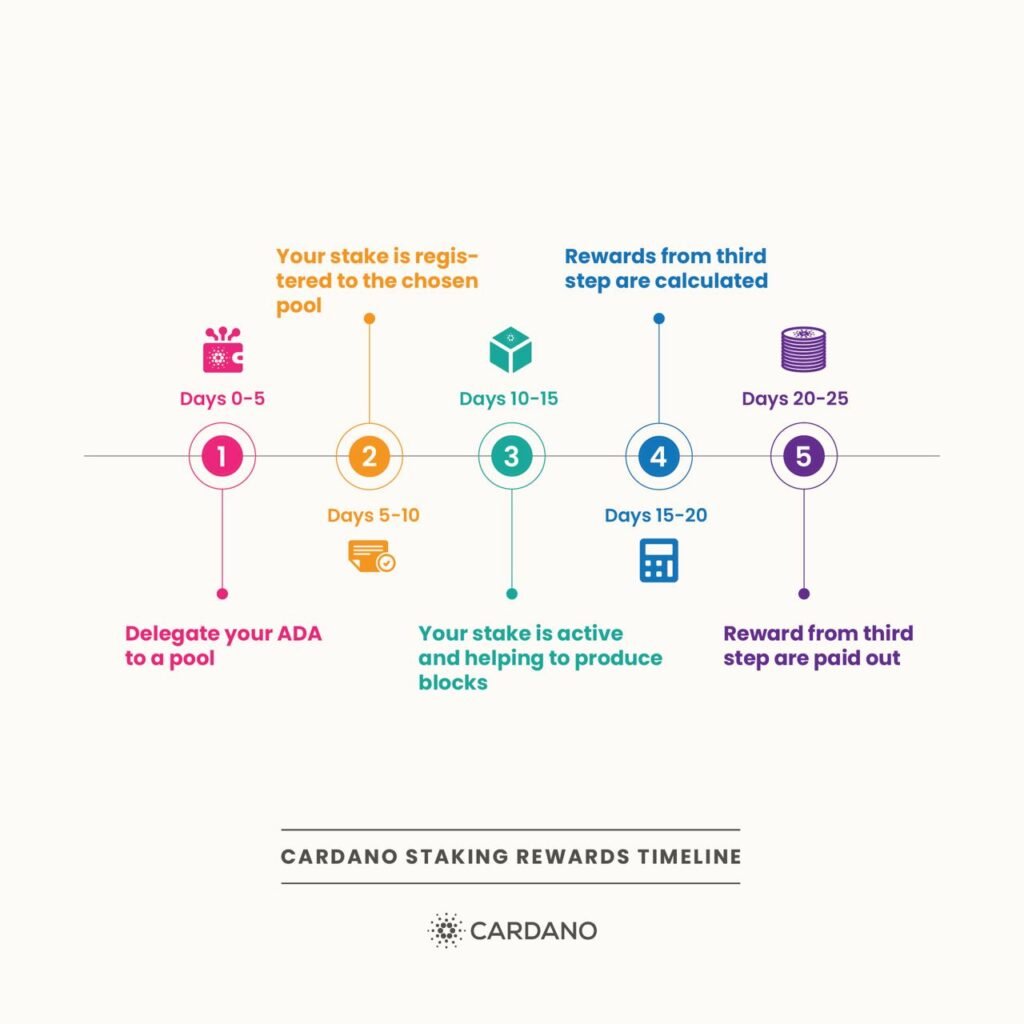 cardano staking